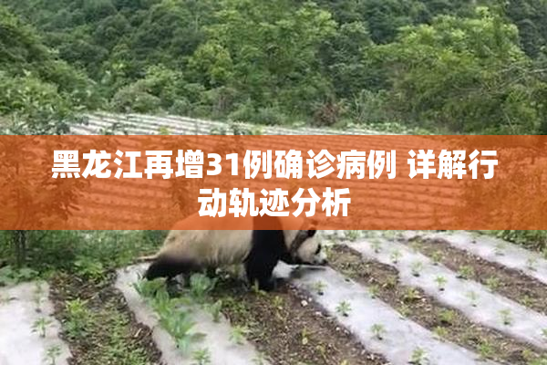 黑龙江再增31例确诊病例 详解行动轨迹分析
