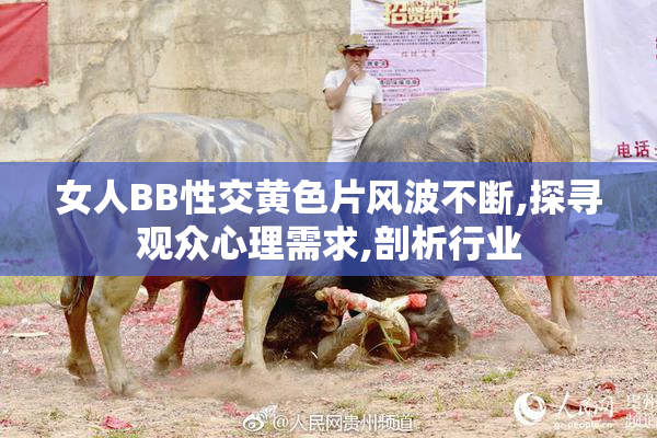 女人BB性交黄色片风波不断,探寻观众心理需求,剖析行业