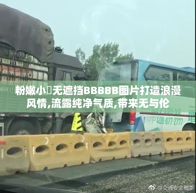 粉嫩小泬无遮挡BBBBB图片打造浪漫风情,流露纯净气质,带来无与伦