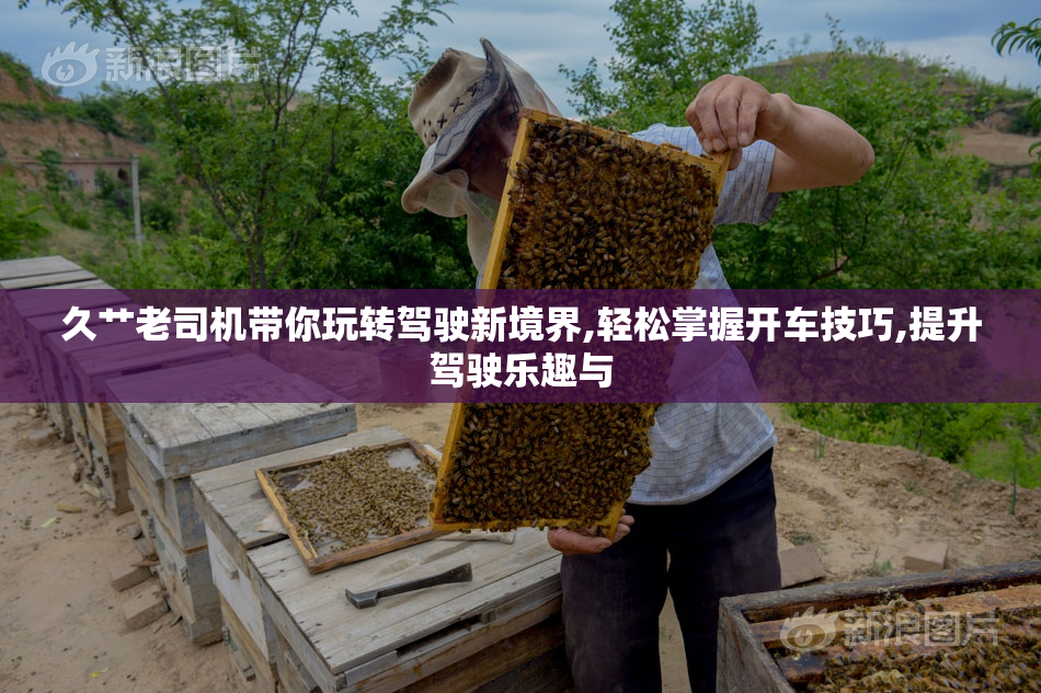久艹老司机带你玩转驾驶新境界,轻松掌握开车技巧,提升驾驶乐趣与