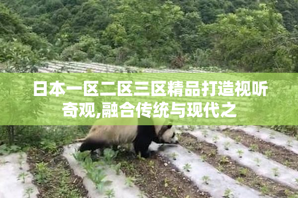 日本一区二区三区精品打造视听奇观,融合传统与现代之