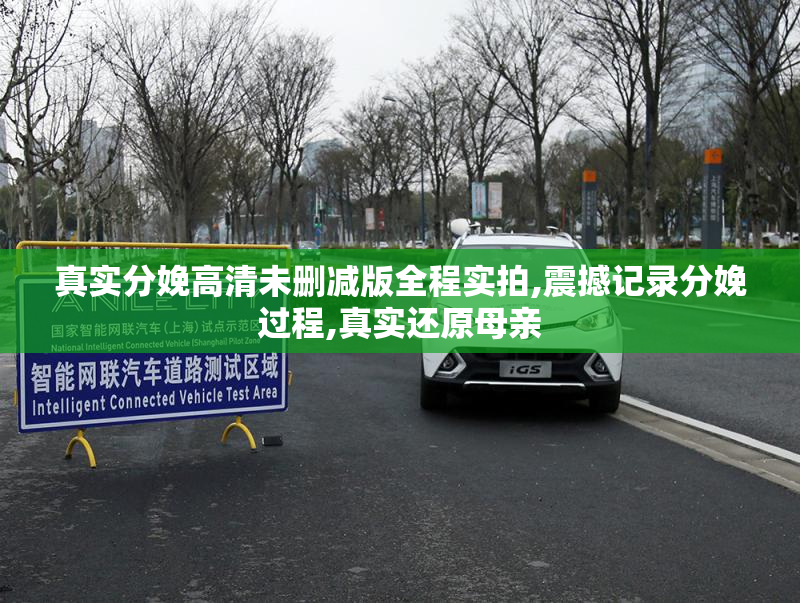 真实分娩高清未删减版全程实拍,震撼记录分娩过程,真实还原母亲