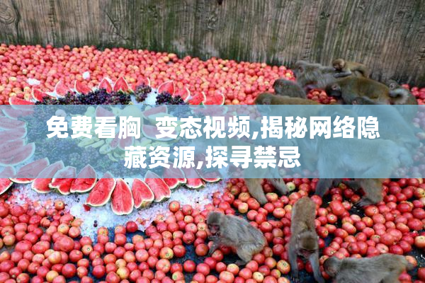 免费看胸  变态视频,揭秘网络隐藏资源,探寻禁忌