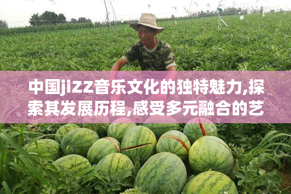 中国jiZZ音乐文化的独特魅力,探索其发展历程,感受多元融合的艺术