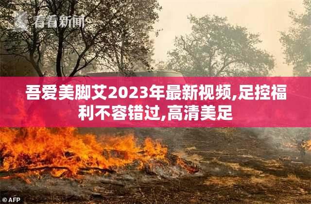 吾爱美脚艾2023年最新视频,足控福利不容错过,高清美足