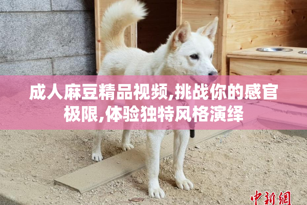 成人麻豆精品视频,挑战你的感官极限,体验独特风格演绎