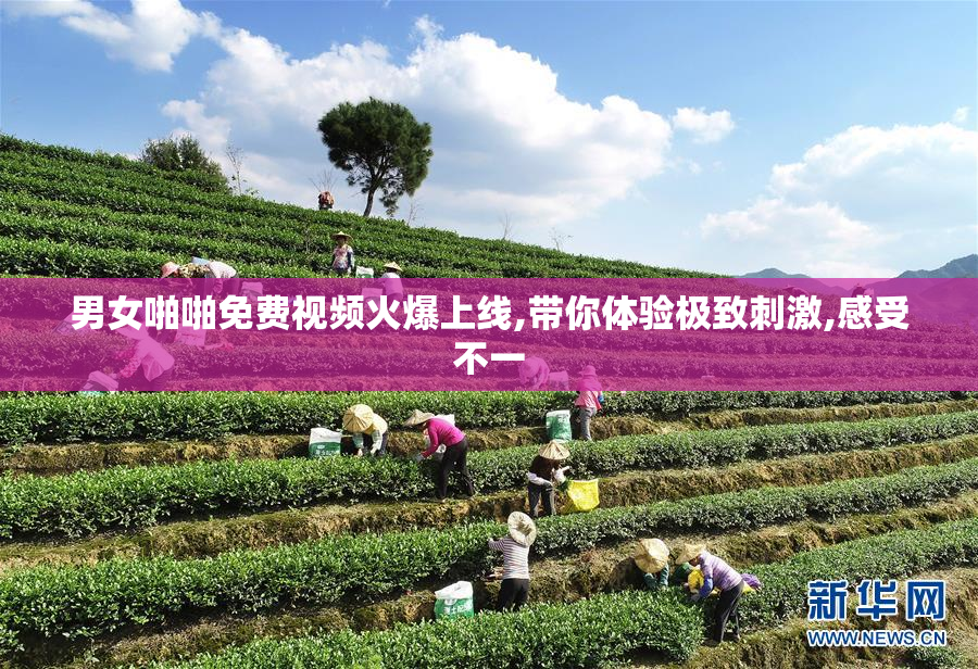 男女啪啪免费视频火爆上线,带你体验极致刺激,感受不一