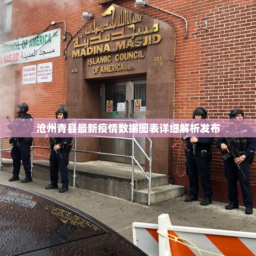 沧州青县最新疫情数据图表详细解析发布