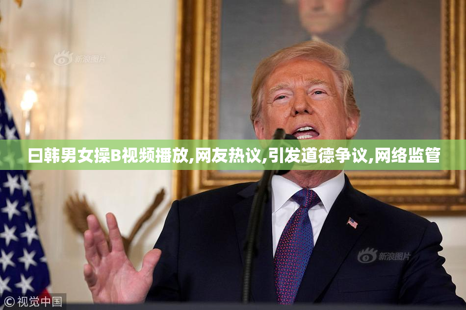 曰韩男女操B视频播放,网友热议,引发道德争议,网络监管