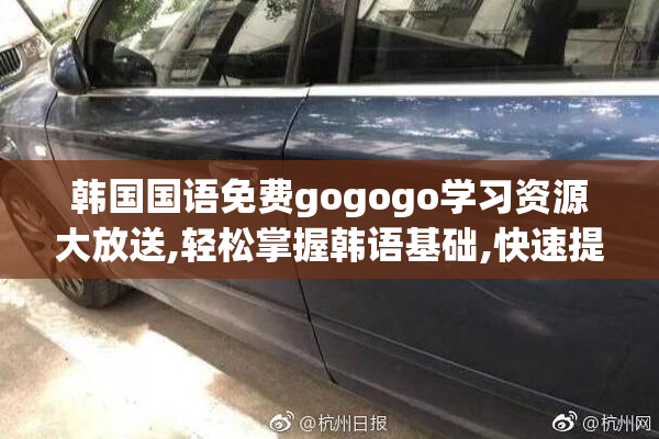 韩国国语免费gogogo学习资源大放送,轻松掌握韩语基础,快速提升