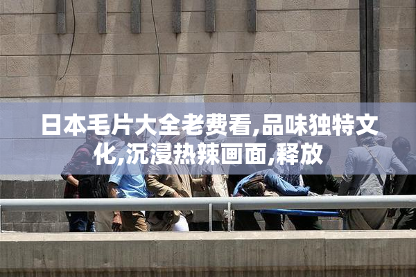 日本毛片大全老费看,品味独特文化,沉浸热辣画面,释放