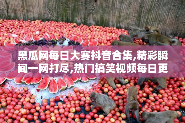 黑瓜网每日大赛抖音合集,精彩瞬间一网打尽,热门搞笑视频每日更新