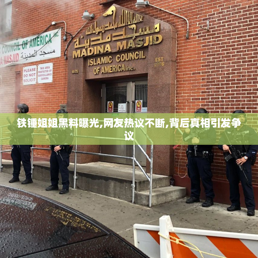 铁锤姐姐黑料曝光,网友热议不断,背后真相引发争议