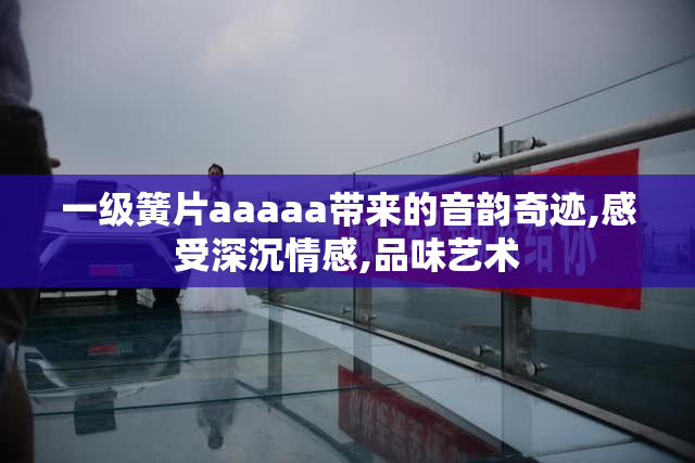 一级簧片aaaaa带来的音韵奇迹,感受深沉情感,品味艺术