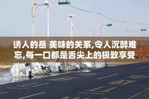 诱人的岳 美味的关系,令人沉醉难忘,每一口都是舌尖上的极致享受
