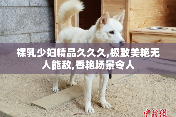裸乳少妇精品久久久,极致美艳无人能敌,香艳场景令人
