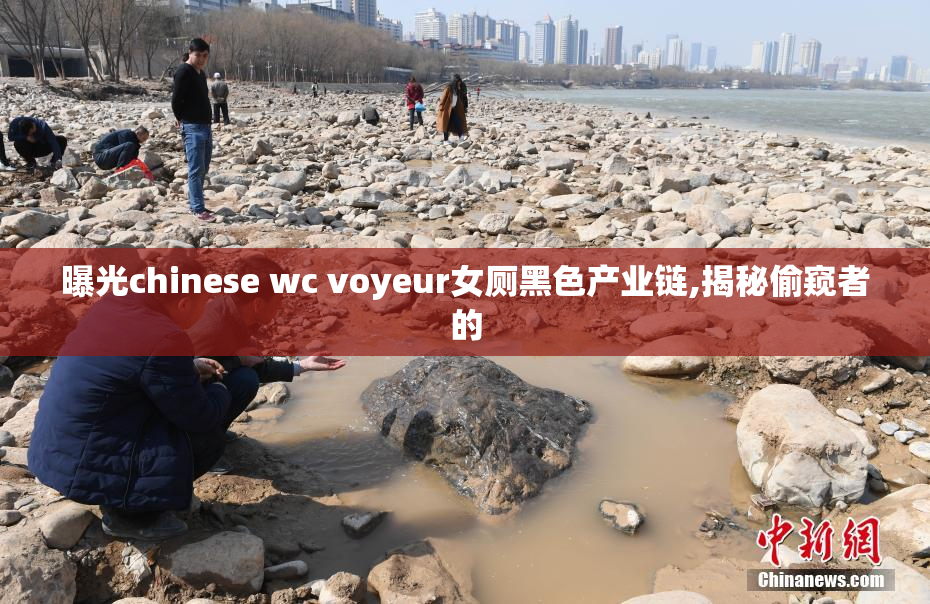 曝光chinese wc voyeur女厕黑色产业链,揭秘偷窥者的