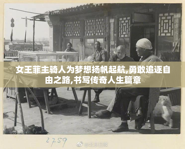 女王菲主骑人为梦想扬帆起航,勇敢追逐自由之路,书写传奇人生篇章