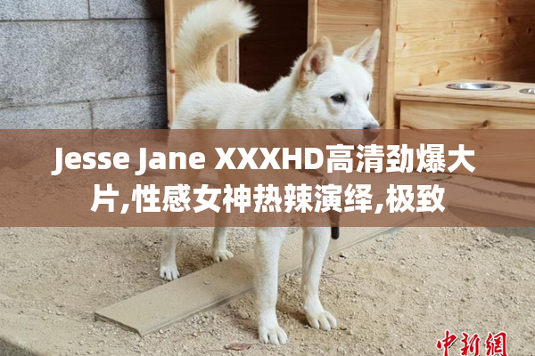 Jesse Jane XXXHD高清劲爆大片,性感女神热辣演绎,极致