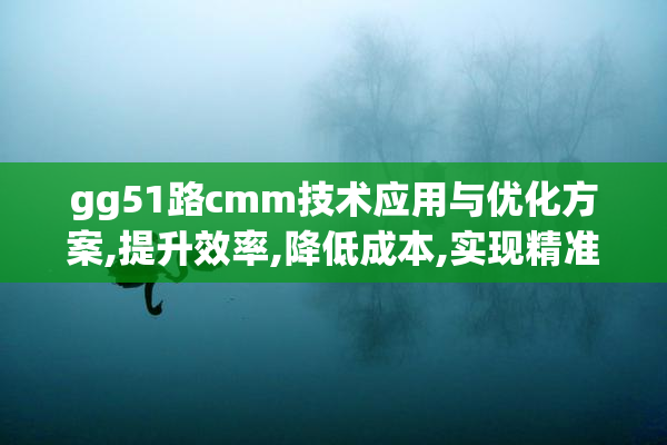 gg51路cmm技术应用与优化方案,提升效率,降低成本,实现精准测量