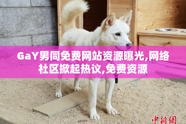 GaY男同免费网站资源曝光,网络社区掀起热议,免费资源