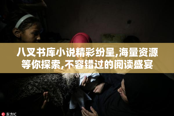 八叉书库小说精彩纷呈,海量资源等你探索,不容错过的阅读盛宴