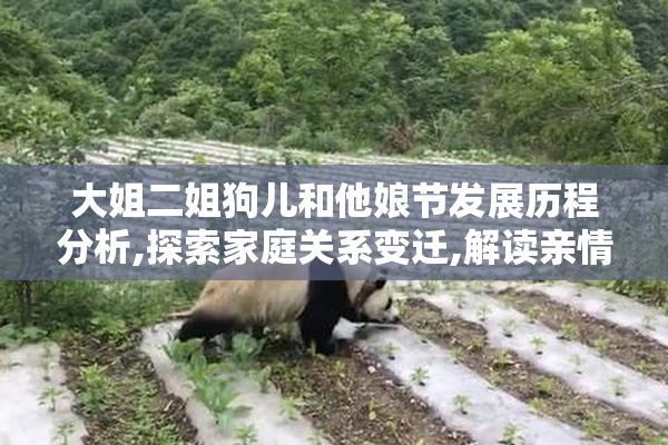 大姐二姐狗儿和他娘节发展历程分析,探索家庭关系变迁,解读亲情与