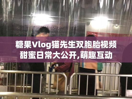 糖果Vlog猫先生双胞胎视频甜蜜日常大公开,萌趣互动