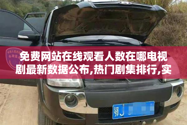 免费网站在线观看人数在哪电视剧最新数据公布,热门剧集排行,实时