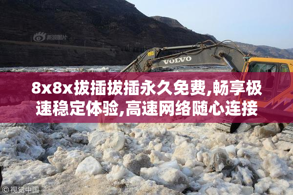 8x8x拔插拔插永久免费,畅享极速稳定体验,高速网络随心连接