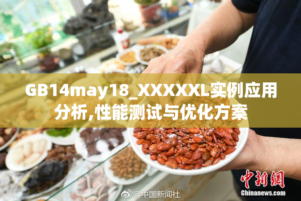GB14may18_XXXXXL实例应用分析,性能测试与优化方案