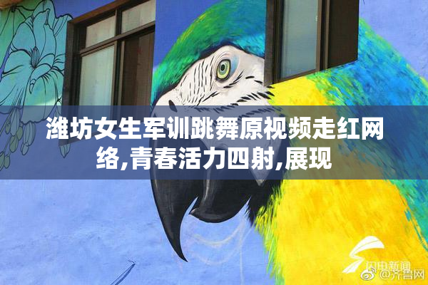 潍坊女生军训跳舞原视频走红网络,青春活力四射,展现