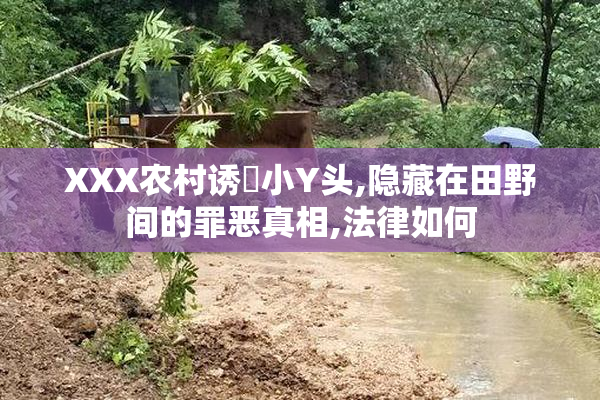 XXX农村诱奷小Y头,隐藏在田野间的罪恶真相,法律如何