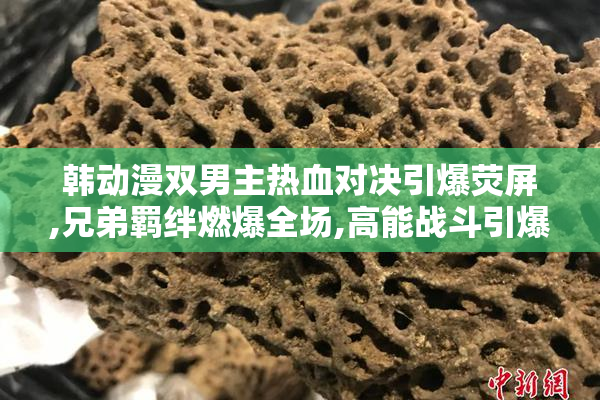 韩动漫双男主热血对决引爆荧屏,兄弟羁绊燃爆全场,高能战斗引爆