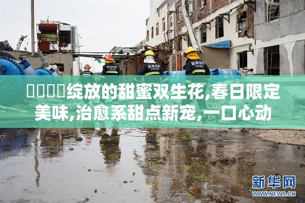 馃崒馃惢绽放的甜蜜双生花,春日限定美味,治愈系甜点新宠,一口心动