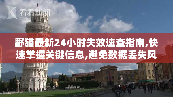 野猫最新24小时失效速查指南,快速掌握关键信息,避免数据丢失风险