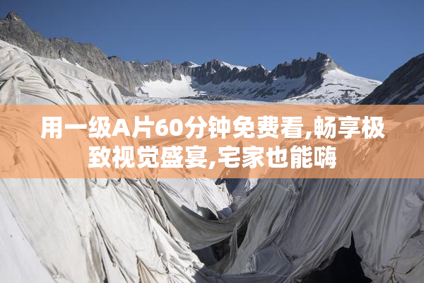 用一级A片60分钟免费看,畅享极致视觉盛宴,宅家也能嗨