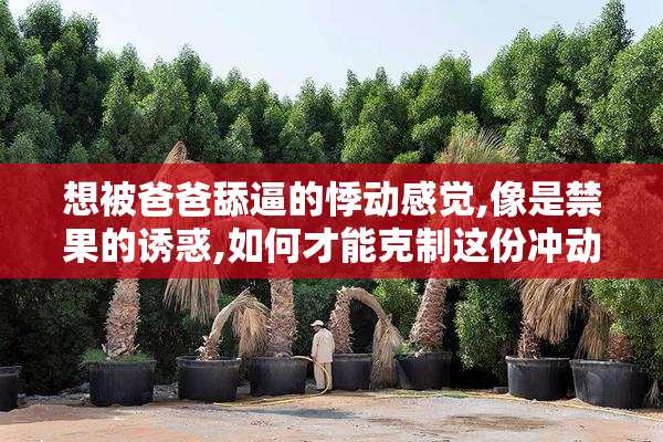 想被爸爸舔逼的悸动感觉,像是禁果的诱惑,如何才能克制这份冲动呢