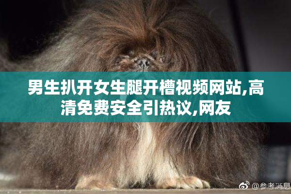男生扒开女生腿开槽视频网站,高清免费安全引热议,网友