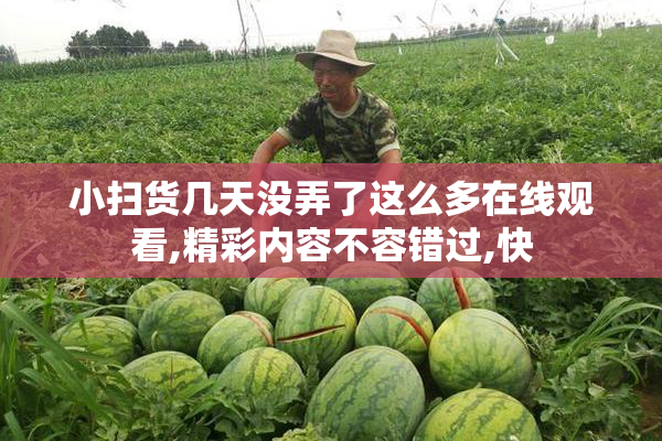 小扫货几天没弄了这么多在线观看,精彩内容不容错过,快