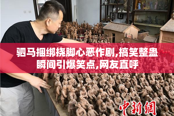 驷马捆绑挠脚心恶作剧,搞笑整蛊瞬间引爆笑点,网友直呼