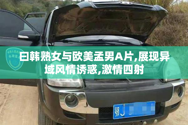 曰韩熟女与欧美孟男A片,展现异域风情诱惑,激情四射