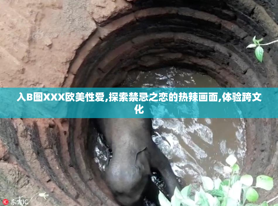 入B图XXX欧美性爱,探索禁忌之恋的热辣画面,体验跨文化