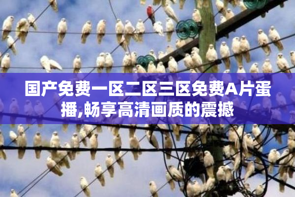 国产免费一区二区三区免费A片蛋播,畅享高清画质的震撼