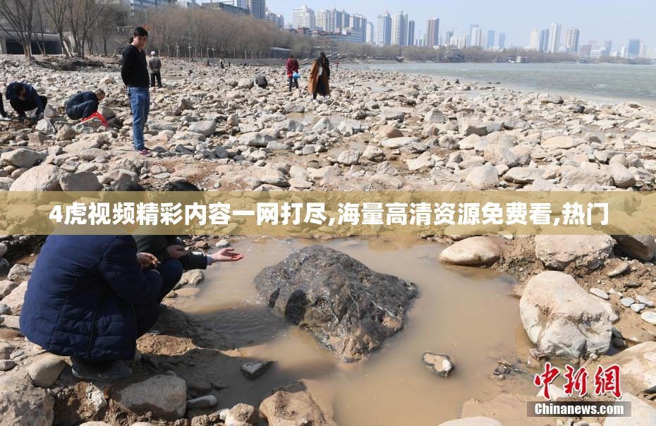 4虎视频精彩内容一网打尽,海量高清资源免费看,热门