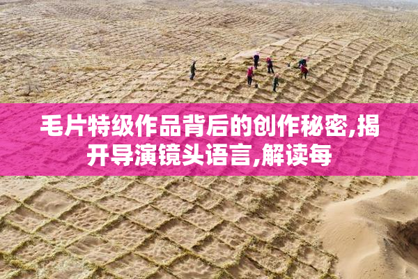 毛片特级作品背后的创作秘密,揭开导演镜头语言,解读每