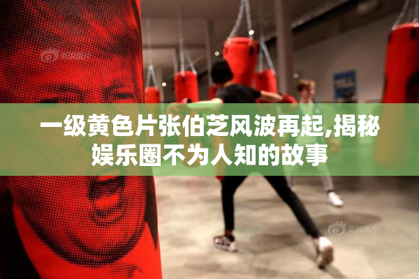 一级黄色片张伯芝风波再起,揭秘娱乐圈不为人知的故事