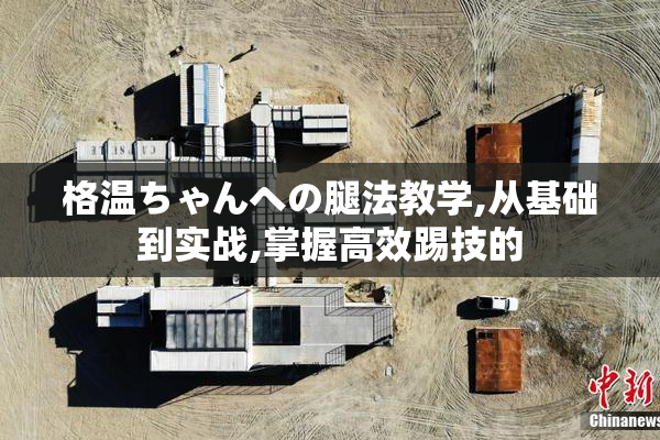 格温ちゃんへの腿法教学,从基础到实战,掌握高效踢技的