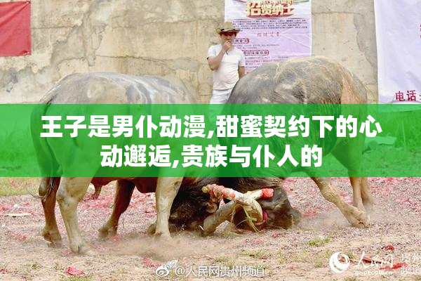 王子是男仆动漫,甜蜜契约下的心动邂逅,贵族与仆人的