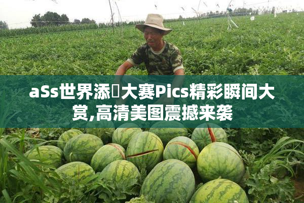 aSs世界添泬大赛Pics精彩瞬间大赏,高清美图震撼来袭